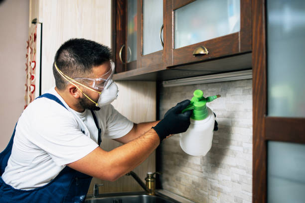 Best Wasp Removal Services  in Cypress Lake, FL