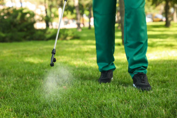 Best Termite Control Services  in Cypress Lake, FL