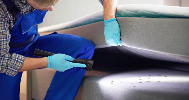 Best Mosquito Control Services  in Cypress Lake, FL
