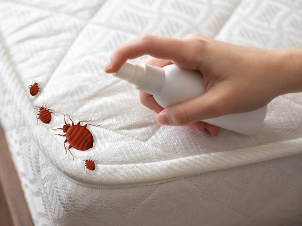 Best Pest Prevention Services  in Cypress Lake, FL