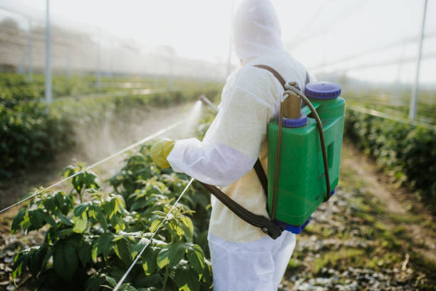 Best Wasp Removal Services  in Cypress Lake, FL